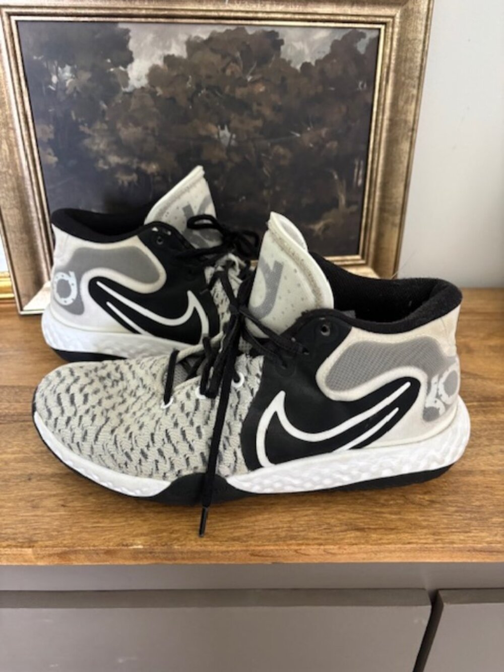 Nike KD Trey 5 VIII size 8.5
